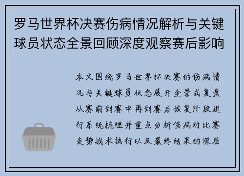 罗马世界杯决赛伤病情况解析与关键球员状态全景回顾深度观察赛后影响